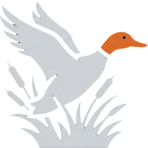 The Maine Duck Show